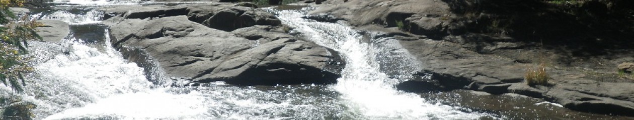 Umzimvubu Catchment Partnership